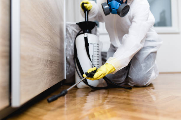 Best Mosquito Control Services  in Ely, NV