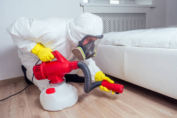Professional Pest Control in Ely, NV