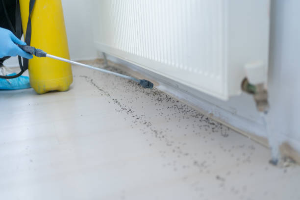 Best Exterminator Services  in Ely, NV